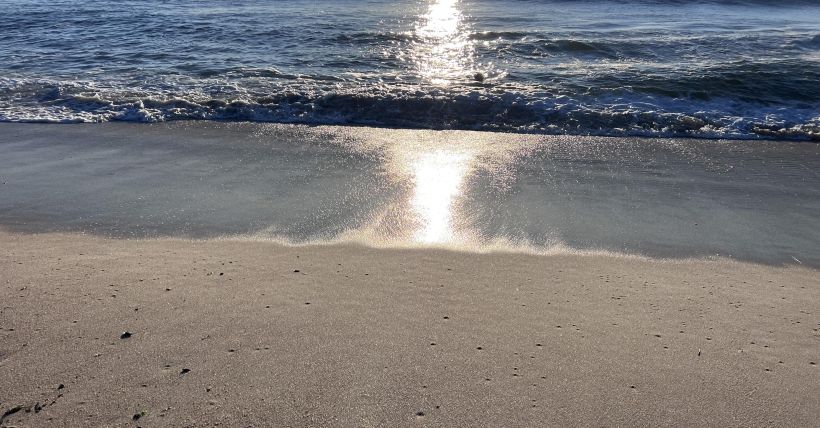 Bay Head & Mantoloking Real Estate Market Summer 2026